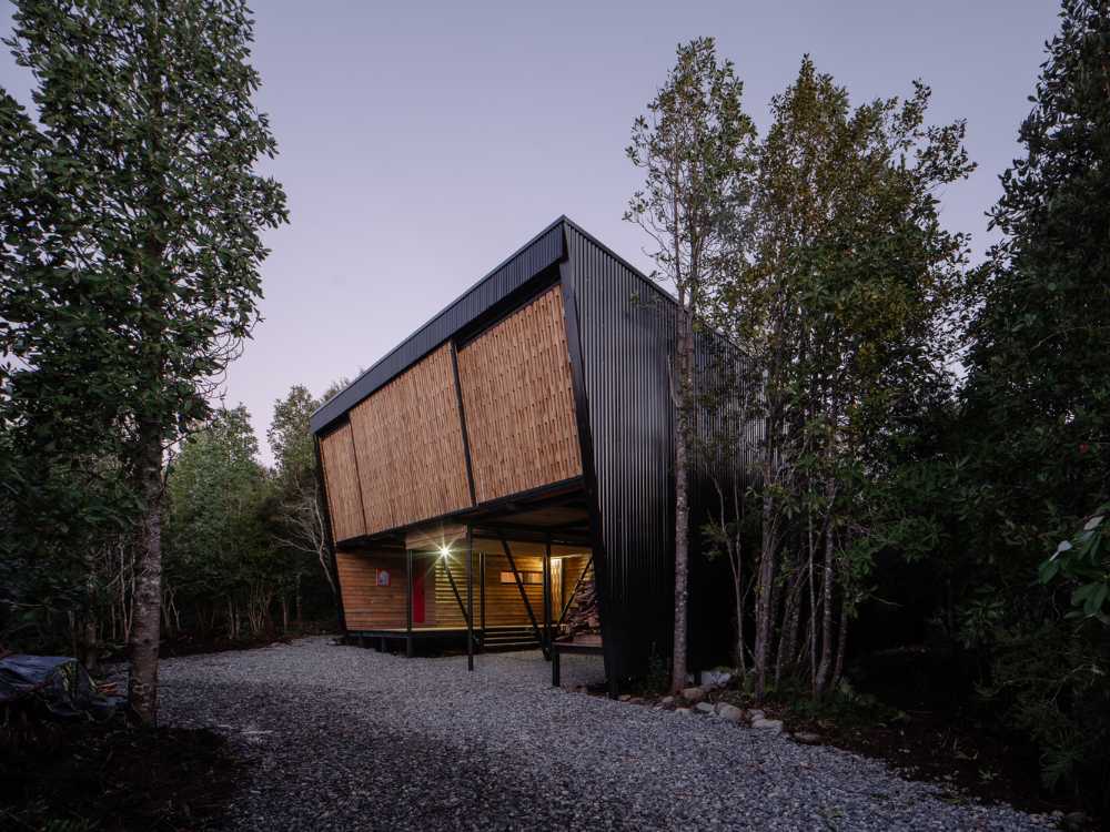 Árboles autóctonos como invitados de “Casa Un Patio”