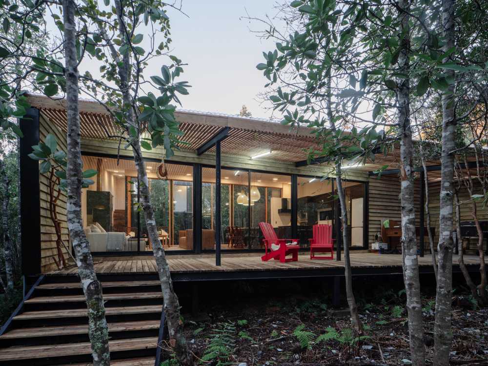 Árboles autóctonos como invitados de “Casa Un Patio”