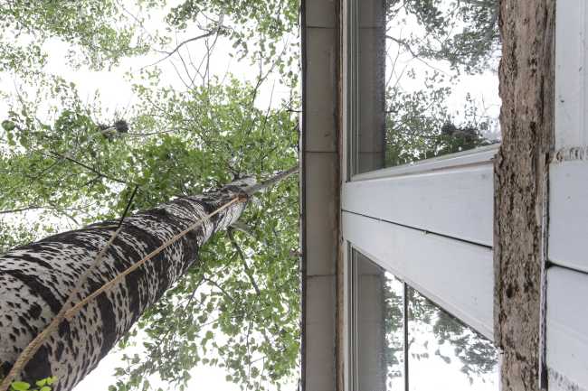 Voyage Coffee 798, a project that brings space back to its origins