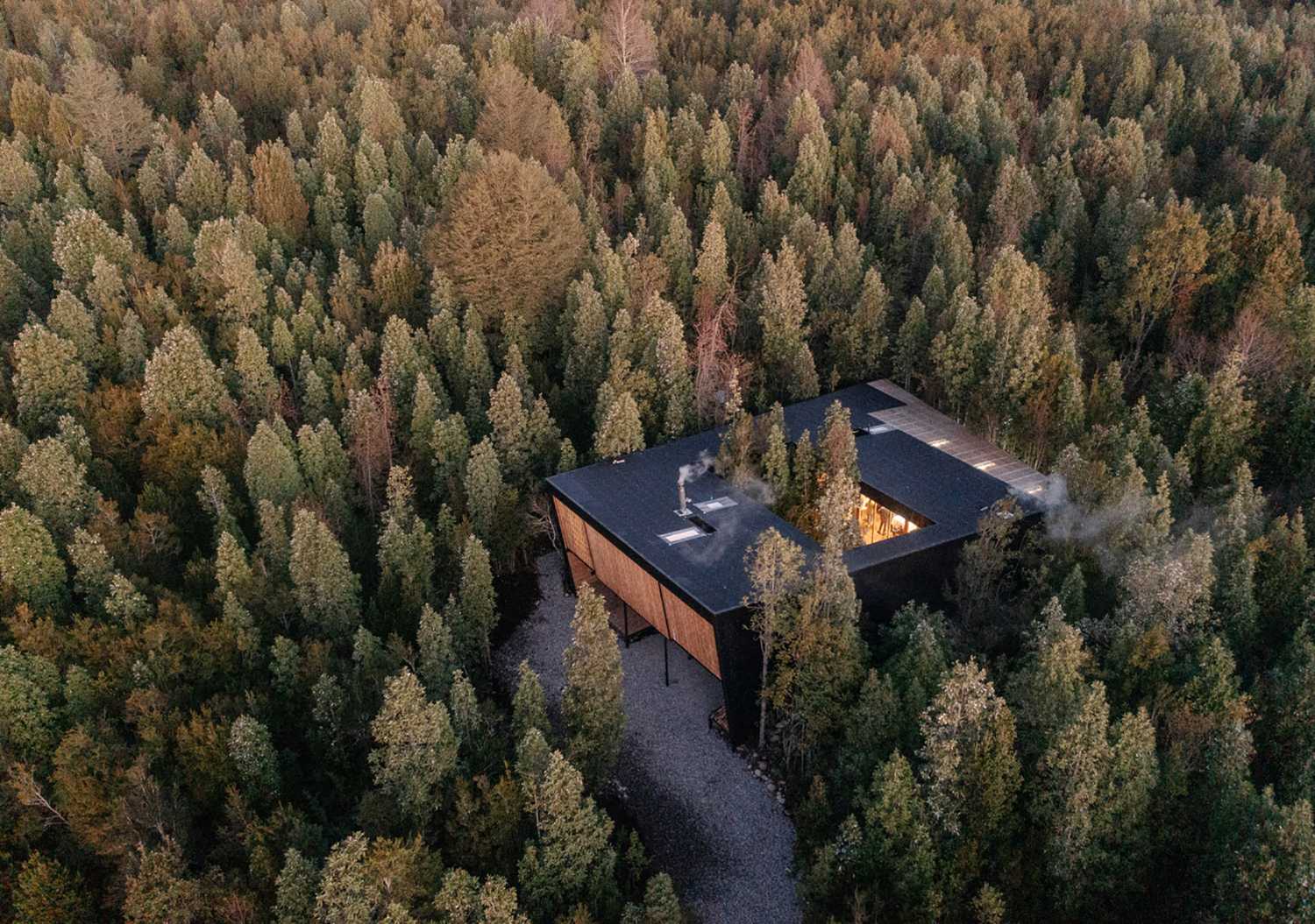 Alberi autoctoni ospiti di “Casa Un Patio”