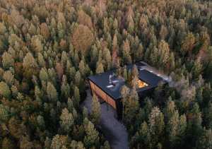 Alberi autoctoni ospiti di “Casa Un Patio”