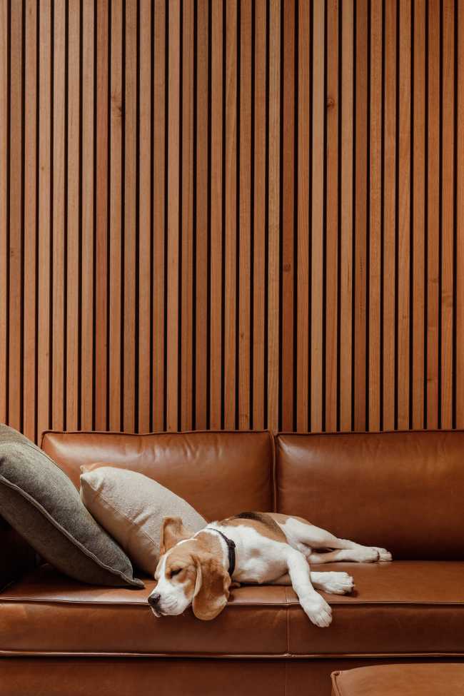 The warmth of the timber welcomes the ERA Planning & Enviroments team to its new office