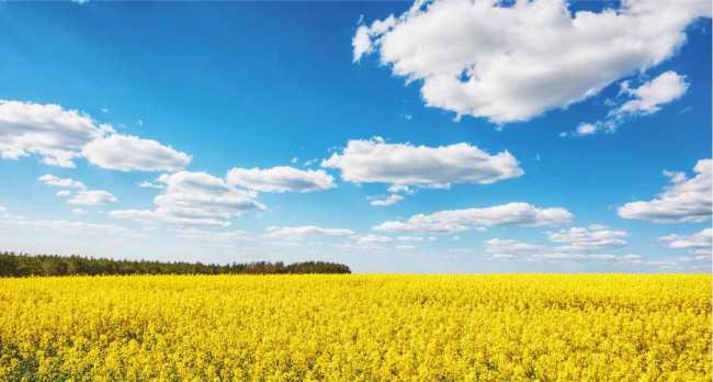 Un sistema a cappotto sostenibile. Alte prestazioni ed un ridotto impatto ambientale