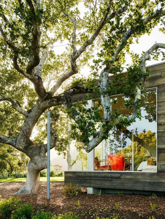 On an oak-covered hillock, Ranch Dressing opens up to 270-degree panoramic views