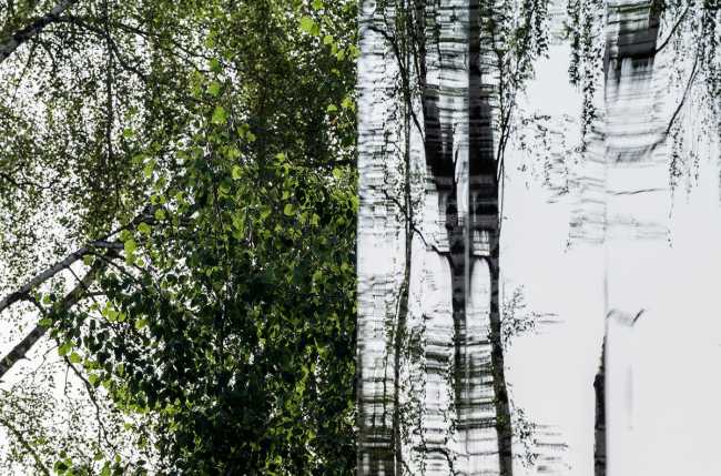 De deux à trois dimensions : le célèbre