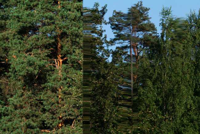 De deux à trois dimensions : le célèbre