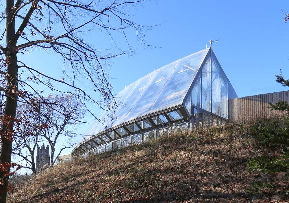 Global Flora Conservatory, uno spazio dinamico ricco di vegetazione variegata