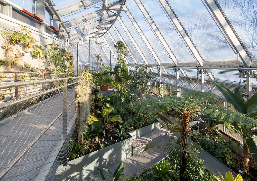 Global Flora Conservatory, uno spazio dinamico ricco di vegetazione variegata