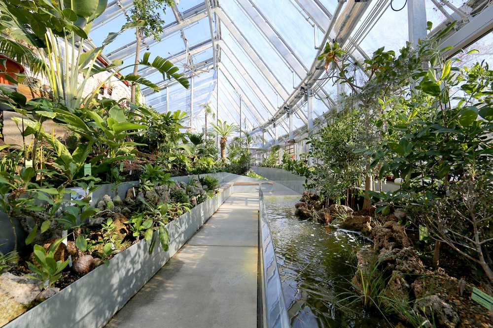 Global Flora Conservatory, uno spazio dinamico ricco di vegetazione variegata