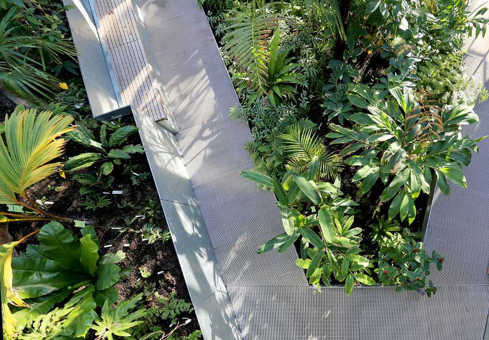 Global Flora Conservatory, uno spazio dinamico ricco di vegetazione variegata