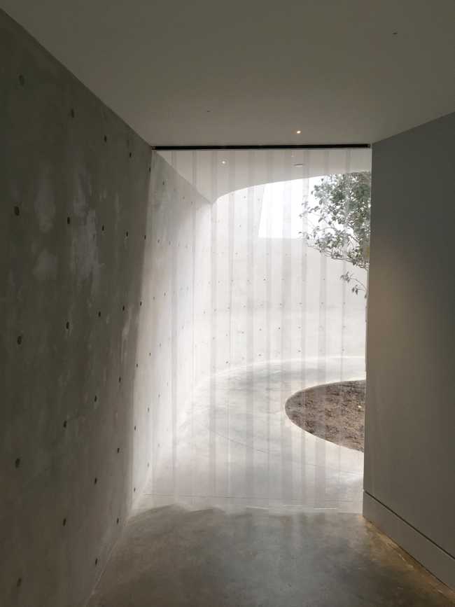 Global Flora Conservatory, a dynamic space brimming with diverse vegetation