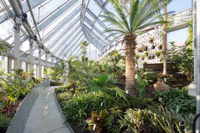 Global Flora Conservatory, a dynamic space brimming with diverse vegetation