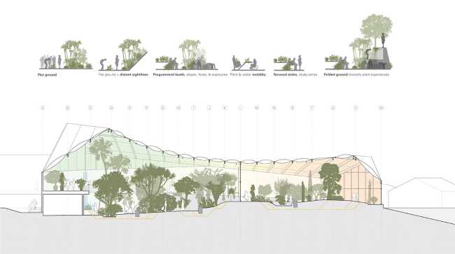 Global Flora Conservatory, a dynamic space brimming with diverse vegetation
