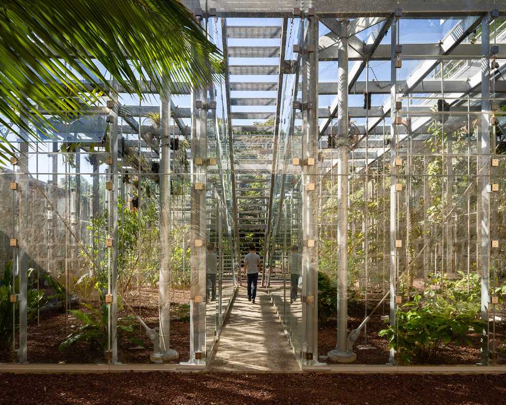 The Orchid Educational Pavilion and its tribute to plant diversity