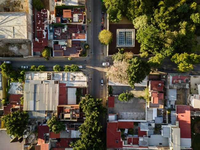 The Orchid Educational Pavilion and its tribute to plant diversity