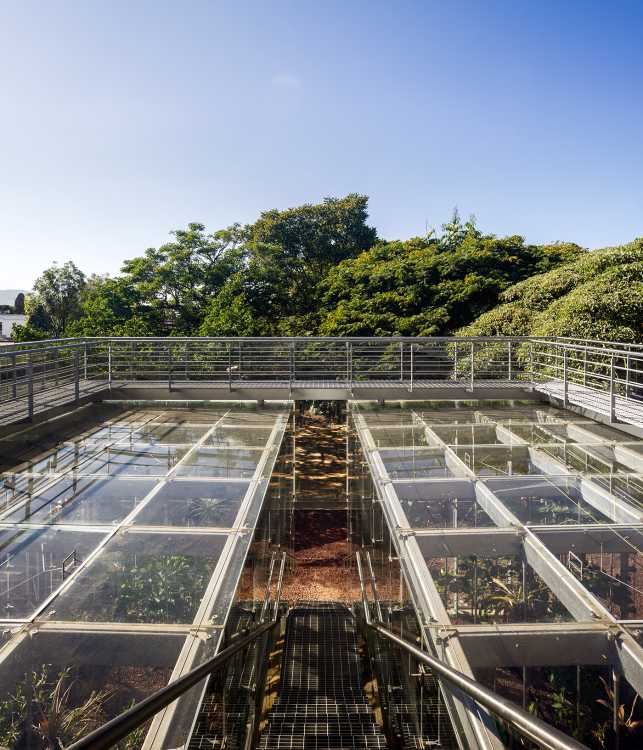 The Orchid Educational Pavilion and its tribute to plant diversity