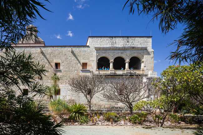 The Orchid Educational Pavilion and its tribute to plant diversity