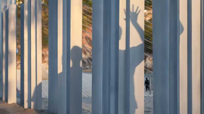 Intangible Sound, la plataforma innovadora desde la que observar el mar