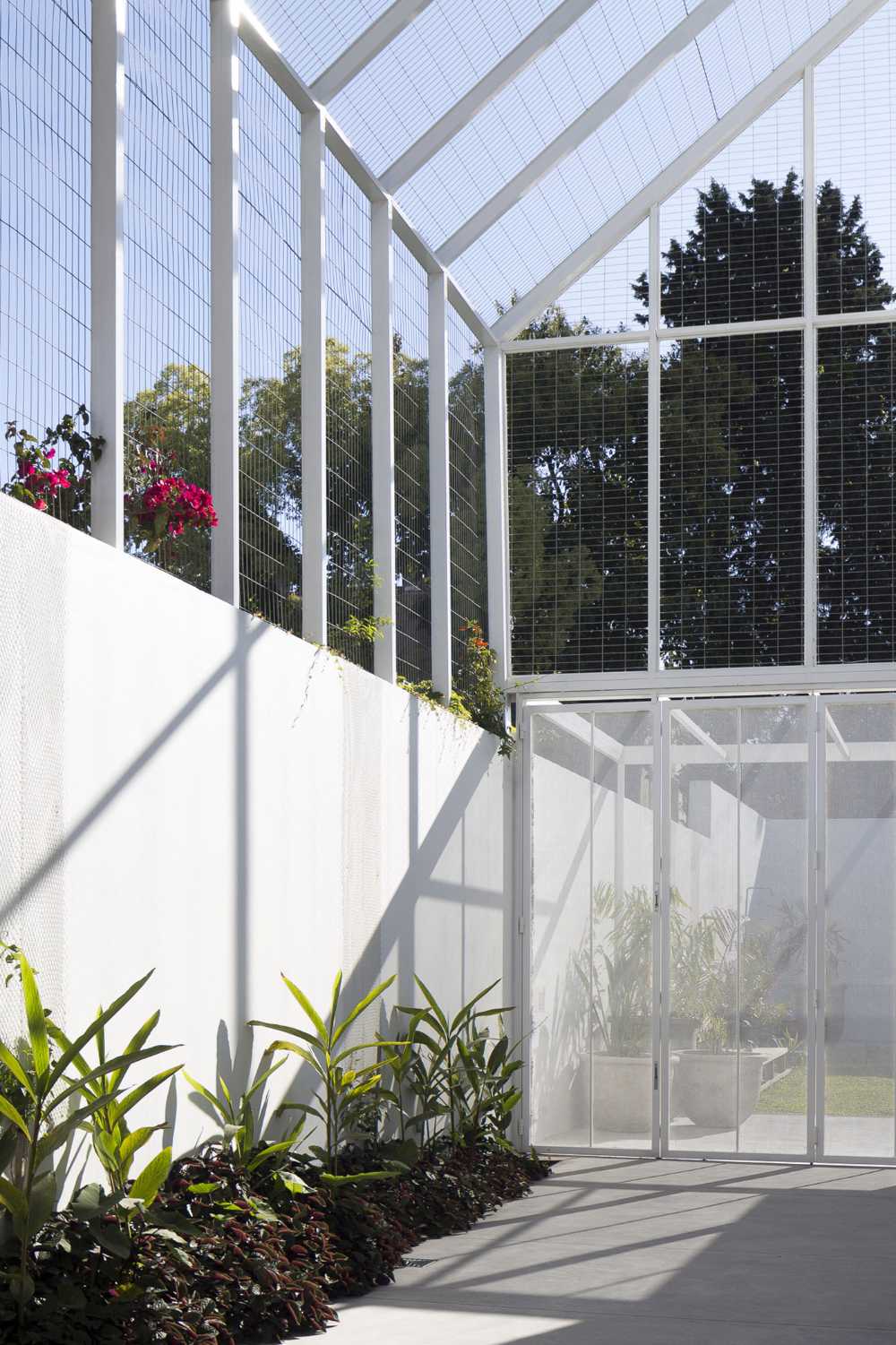 Transformation de la typique 