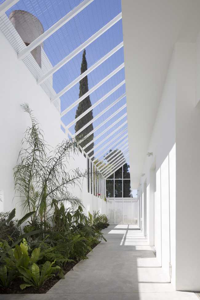 Transformation de la typique 