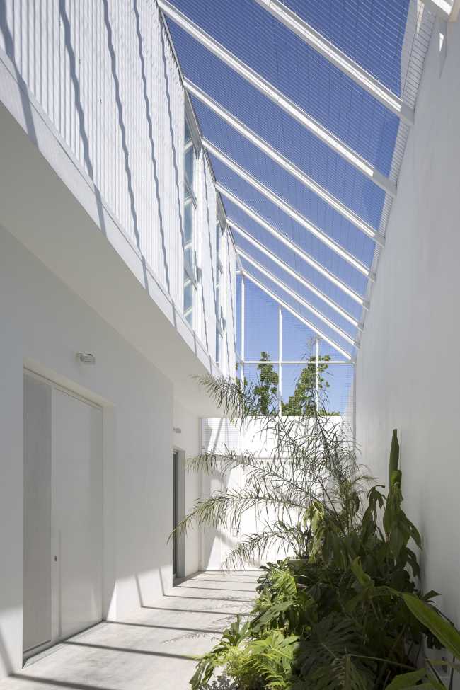 Transformation de la typique 