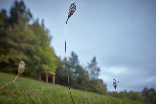 Arredo outdoor in legno incoraggia una vita sana e in armonia: gli Yogapoints