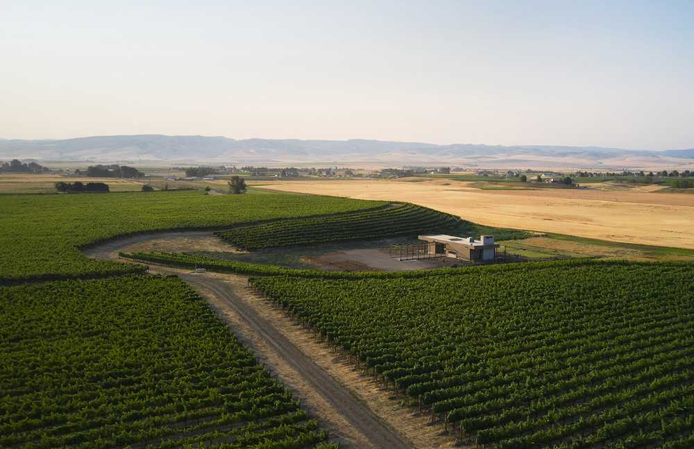 Sala degustazione vini e wine garden Alton Wines: design sensibile al paesaggio naturale nella campagna di Washington