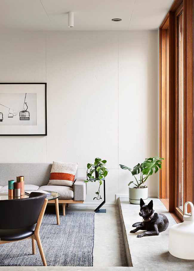 Habitability and ecology maximized in a high-density way of living: the Davison Collaborative project