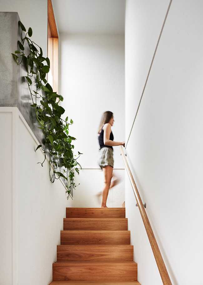 Habitability and ecology maximized in a high-density way of living: the Davison Collaborative project