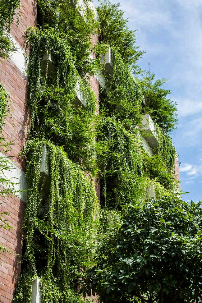 La strategia dell'Atlas Hotel per rivitalizzare le aree urbane con il verde integrato nel design