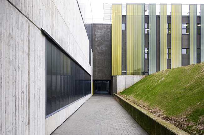 Renovation of School gym Zanella in Villafranca: color, light and high-performance materials