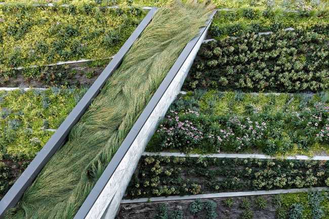 YARD, un hub social qui connecte au paysage