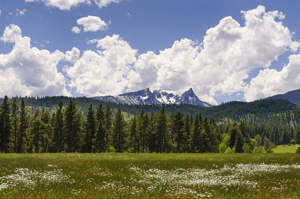 Fat Deer Lodge, a family home that is all about the love of the land and nature