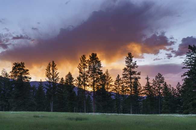 Fat Deer Lodge, un’abitazione familiare che parla dell’amore per il territorio e la natura