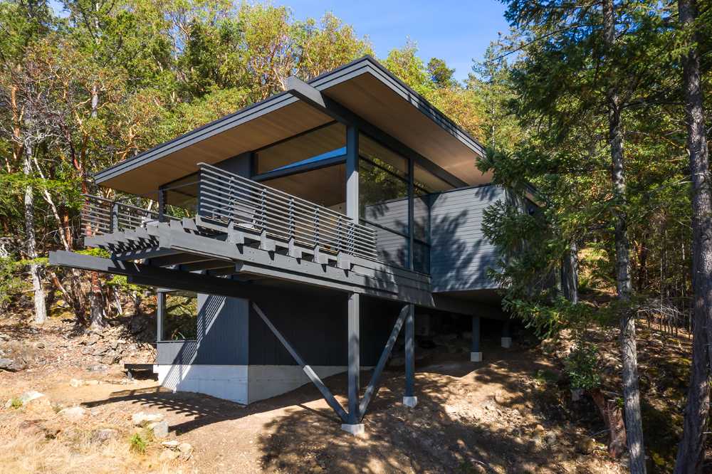 La vida que se ancla a una roca existente en Buck Mountain Cabin