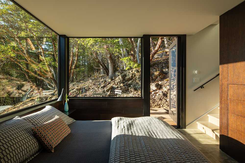 La vida que se ancla a una roca existente en Buck Mountain Cabin