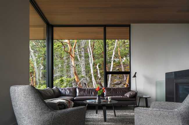 La vida que se ancla a una roca existente en Buck Mountain Cabin