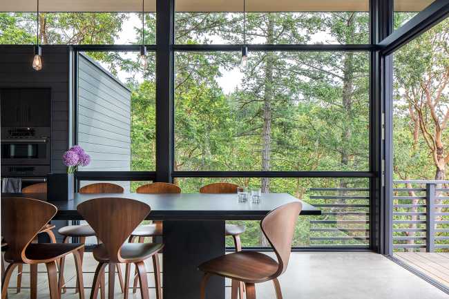 La vida que se ancla a una roca existente en Buck Mountain Cabin