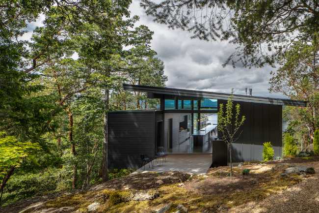 La vida que se ancla a una roca existente en Buck Mountain Cabin