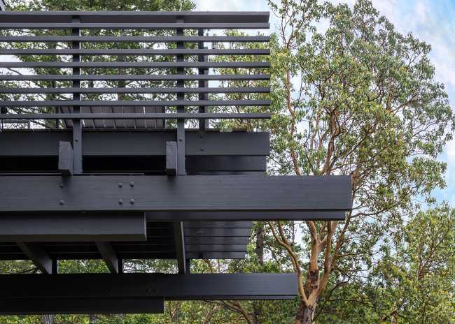 La vida que se ancla a una roca existente en Buck Mountain Cabin