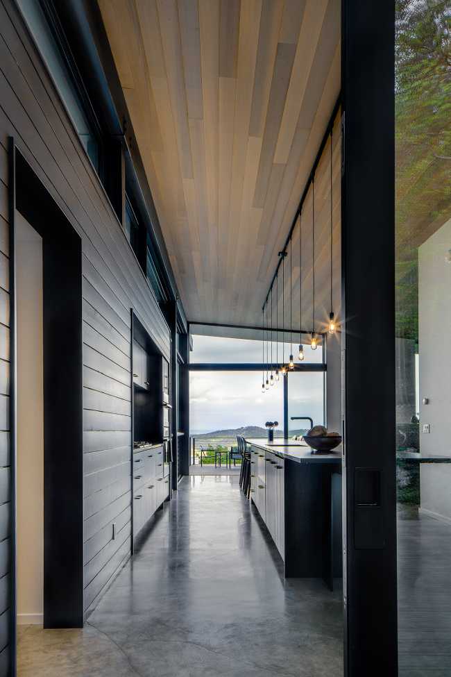 La vida que se ancla a una roca existente en Buck Mountain Cabin