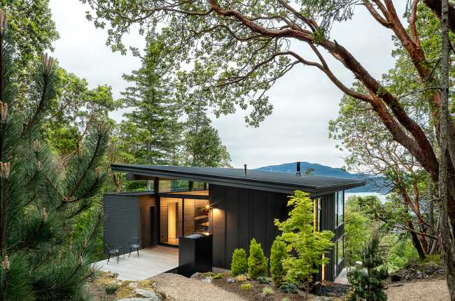 La vida que se ancla a una roca existente en Buck Mountain Cabin