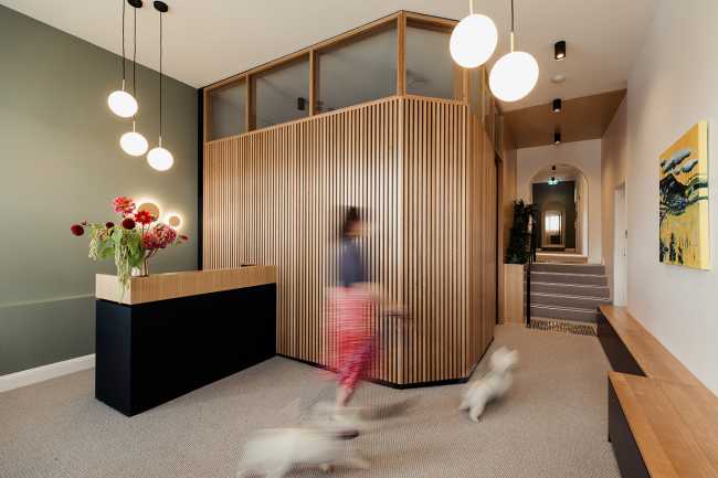 A quiet psychology practice in Tasmania. Peaceful light and a sense of welcome underpin the therapy as much as the space that houses it