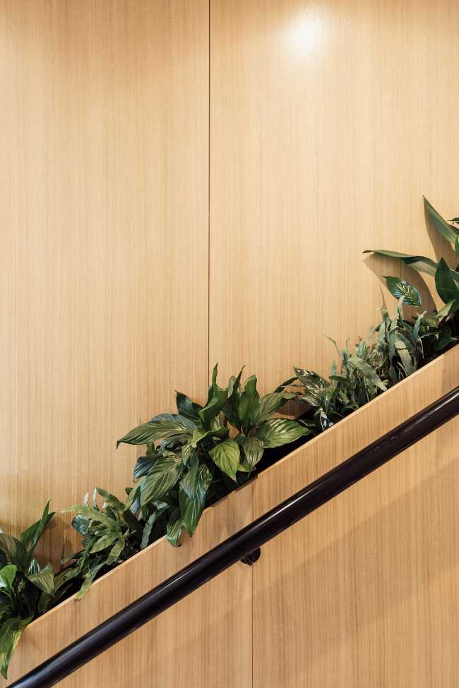 A quiet psychology practice in Tasmania. Peaceful light and a sense of welcome underpin the therapy as much as the space that houses it