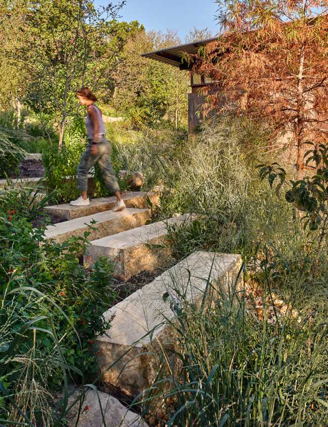 Restyling del histórico espacio verde público de Austin. El Pease Park
