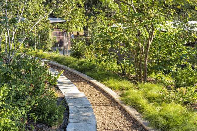 Restyling del histórico espacio verde público de Austin. El Pease Park