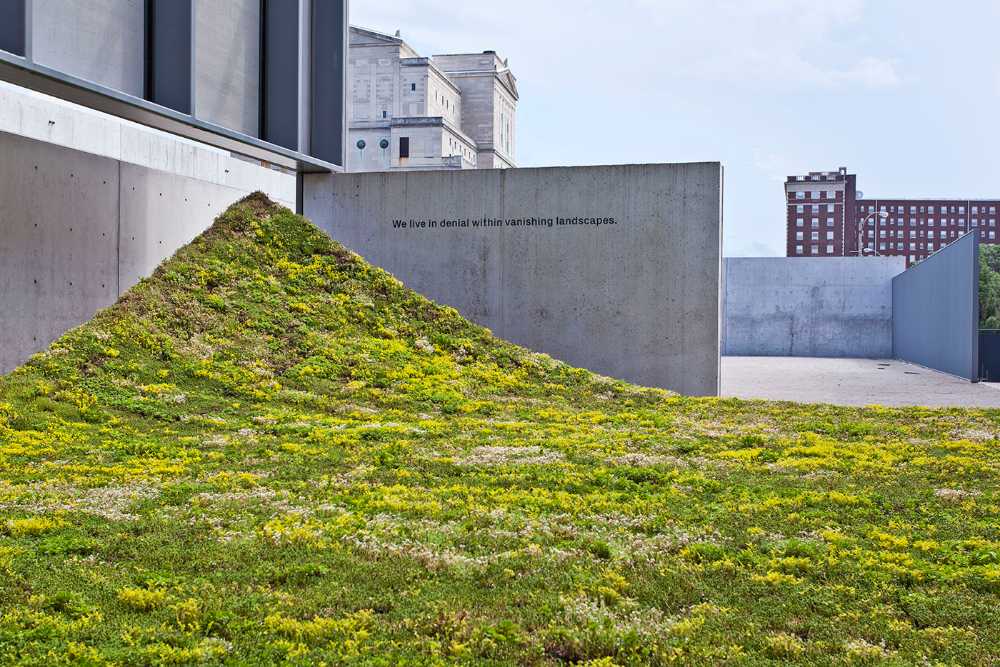 La instalación de Green Varnish que muestra cómo ignorar una realidad incómoda