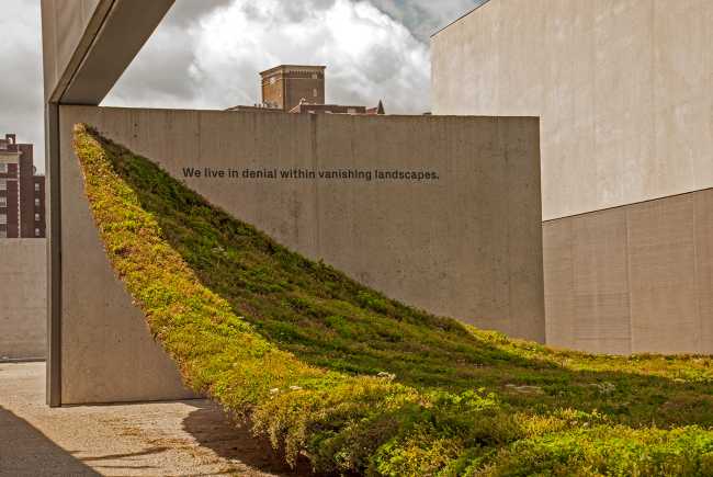 La instalación de Green Varnish que muestra cómo ignorar una realidad incómoda