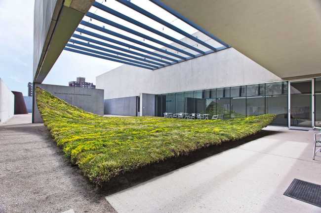 La instalación de Green Varnish que muestra cómo ignorar una realidad incómoda