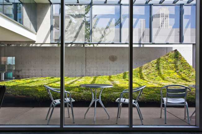 La instalación de Green Varnish que muestra cómo ignorar una realidad incómoda